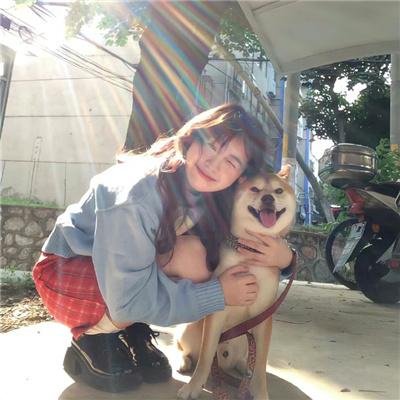 战地女护士